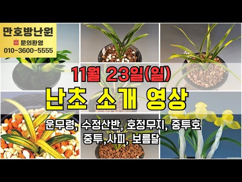 유튜브 썸네일