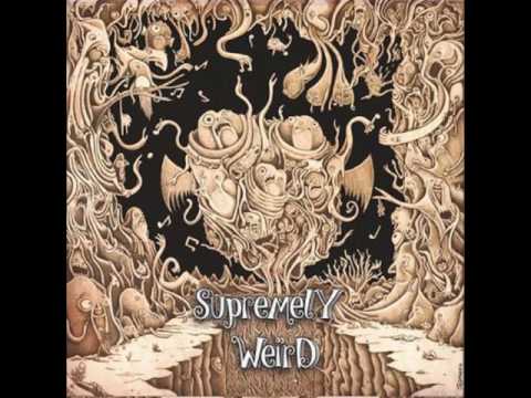 Noize Bug - LSD Effect