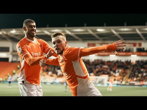 bg-highlight