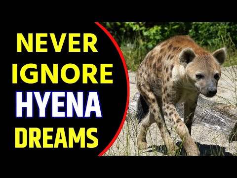 What does Hyena Dream Meaning | Dreaming of Hyena | Hyena Dream Interpretation