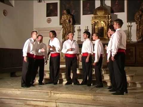 Klapa Tragos - Dalmatino,povišću pritrujena