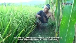 Download lagu Video histori wa keren #agus kotak.like and subcribe ya browwww, gratis! mp3