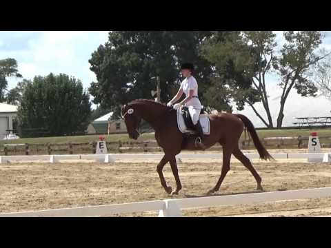 Isabel Gregory and Rock Star FEI Prix St Georges