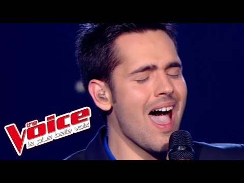 James Brown – It's a Man's Man's Man's World | Yoann Fréget | The Voice France 2013 | Prime 2