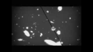 ray the great photomultiplier