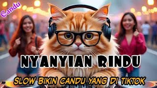 Download lagu DJ NYANYIAN RINDU Evie tamala SLOW BIKIN CANDU YANG DI TIKTOK BY Yanz Tube mp3