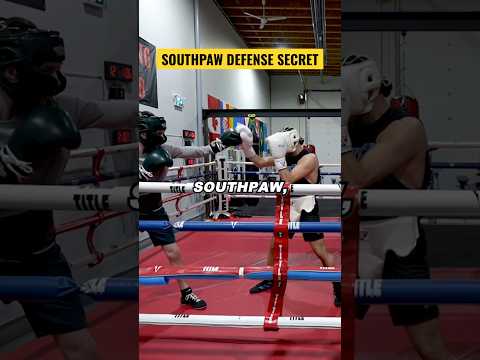 SOUTHPAW BOXING DEFENSE #boxing #jakepaul #boxingtraining #canelo #boxingdrills #mayweather #punch