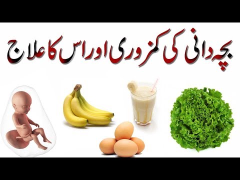 download lagu mp3 mp4 Bacha Dani Ki Kamzori Ka Ilaj, download lagu Bacha Dani Ki Kamzori Ka Ilaj gratis, unduh video klip Bacha Dani Ki Kamzori Ka Ilaj