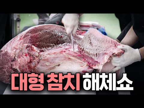 절단 마스터의 대형참치 해체쇼! (feat.도심속바다축제)