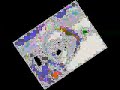 Klaskyklaskyklaskyklasky Gummy Bear In Megan Woodmansee S G Major 4 9