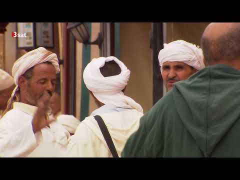 Faszination Afrika (3/3) Tansania - Vom Kilimandscharo in die Serengeti Doku (2015)