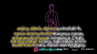 Download lagu Story WA | makan daging anjing dan sayur kol mp3 Download lagu Story WA | makan daging anjing dan sayur kol mp3