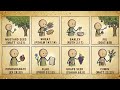 Every Sacred Seed in the Bible That Actually Heals Explained