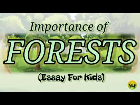 IMPORTANCE OF FORESTS in English for kids | 20 lines essay on Benefits of Forests Video
