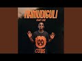 Namudiguli