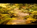 Alexis Ffrench - Hope 