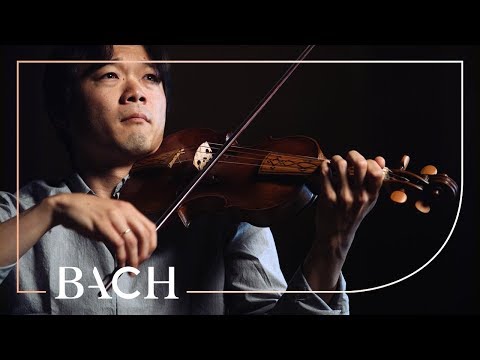 Bach - Violin Sonata no. 1 in G minor BWV 1001 - Sato | Netherlands Bach Society