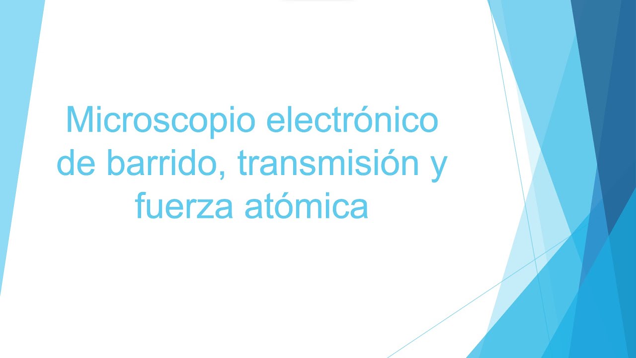 EQUIPO #5 -  MICROSCOPIO ELECTRONICO DE BARRIDO
