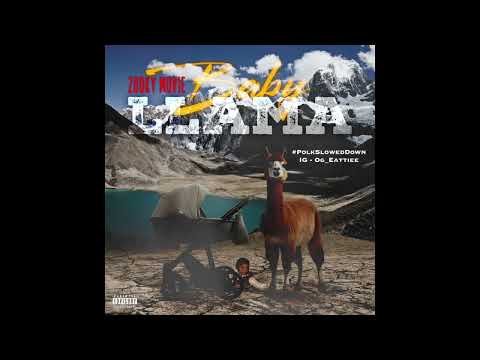 Zooky - Light Show #SLOWED