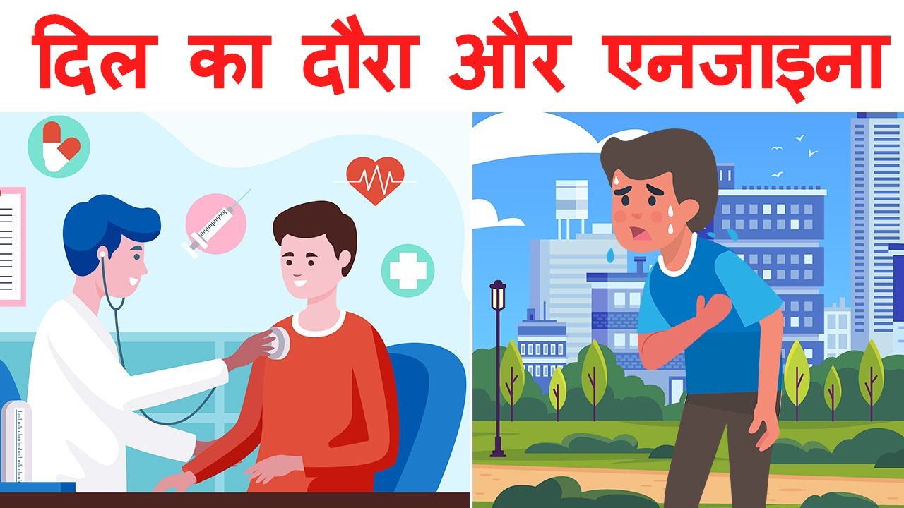 Dil ka daura aur angina class 11 | Summary | 1st Puc hindi