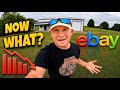 Steep Decline In Ebay Sales