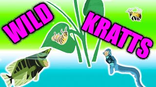 Wild Kratts Archerfish &amp; Wild Kratts Electric Eel | Wild Kratts Games About Fish &amp; Bugs For Kids