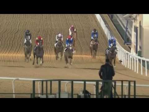 04.12.2014 Meydan (Dubai-UAE) 3.Race Longines CC Gents - Kondition 1.600 m
