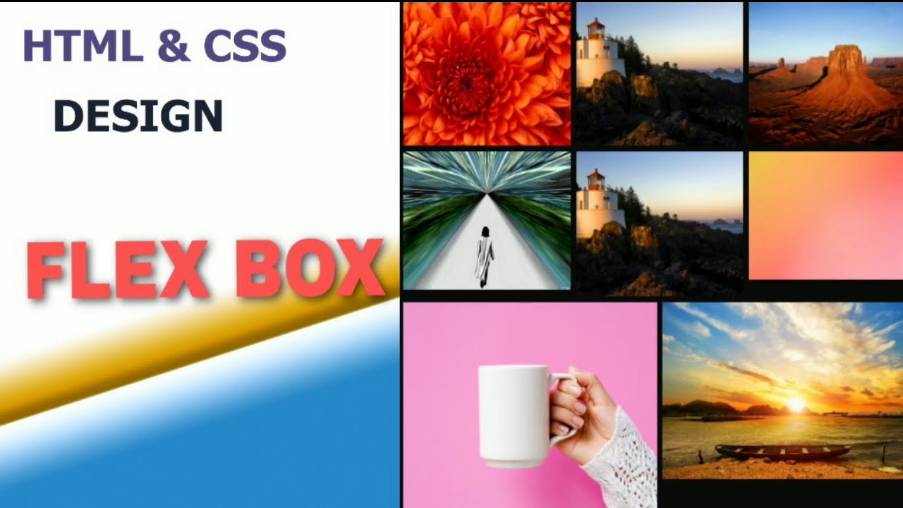UI Design(4)  Responsive Image Gallery Using Flexbox HTML & CSS Code.
