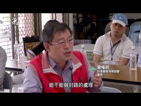 茄苳樹風水