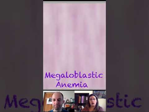 Megaloblastic Anemia Morphology Characteristics