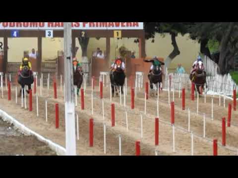 3 Páreo Clas XII GP Haras Primavera Canindé CE 23 e 24 de Março de 20619