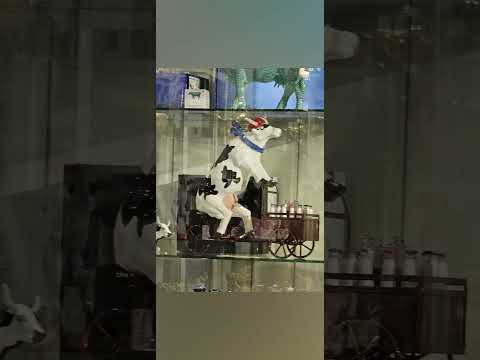 Middelburg en Veere 5 mei