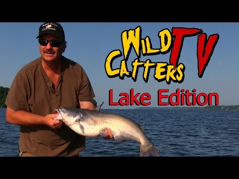 How to use a depth finder to find catfish