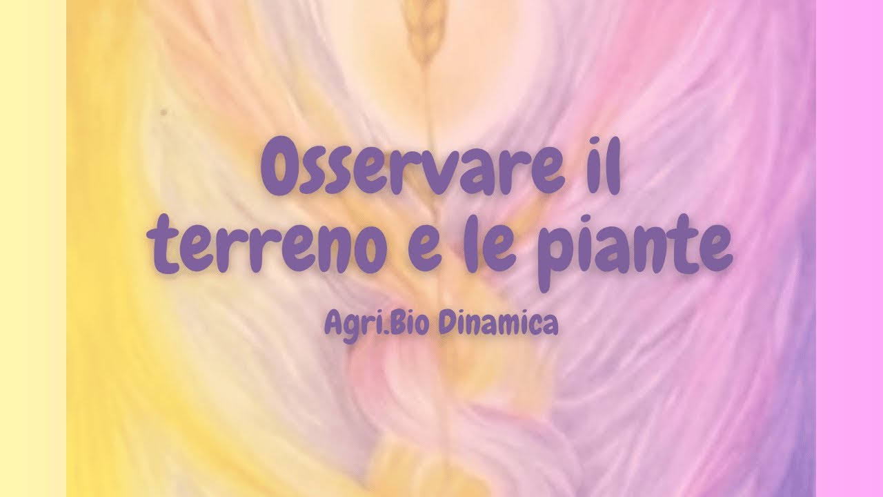 Ivo Bertaina | Osservare il terreno e le piante | Agri.Bio Dinamica - 2-