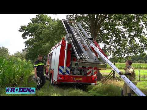 Vrouw zakt weg in moeras - Roeghoornweg Norg