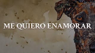 Jesse &amp; Joy - ME QUIERO ENAMORAR (Letra oficial / Official lyrics)