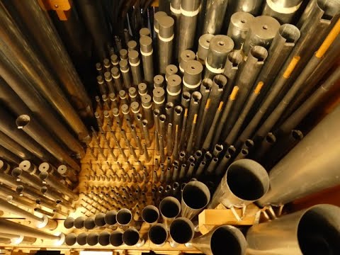 EG 450 Morgenglanz der Ewigkeit (Orgel)