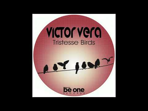 Victor Vera - Another Birds (Original Mix)