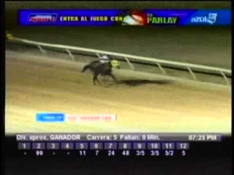 Resumen Viernes, 25 de Enero de 2013 - Valencia