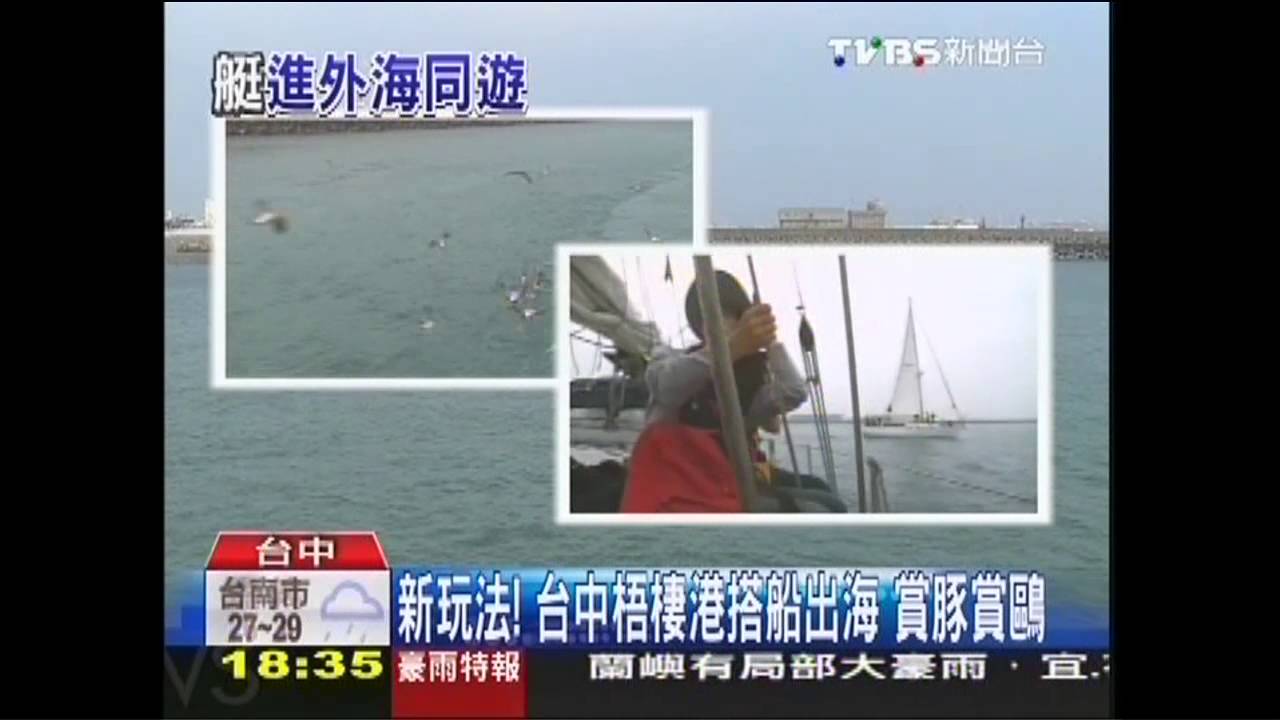 新玩法! 台中梧棲港搭船出海賞豚、賞鷗