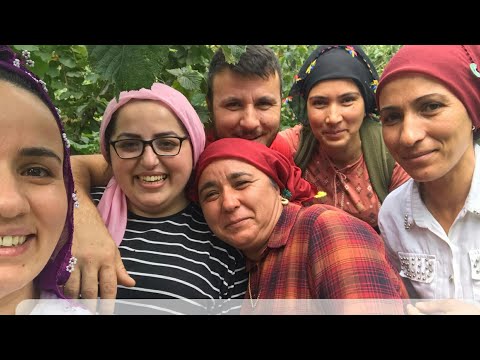 Yeşil vadi (Fındık Bahçesi) KİMİN olacak?