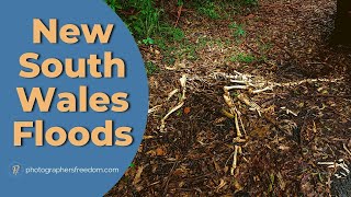Floods In NSW - Nature Photography Vlog April 2021