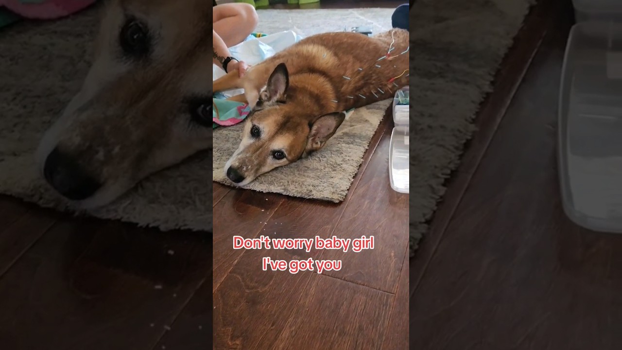 Let's Get Your Step Back!