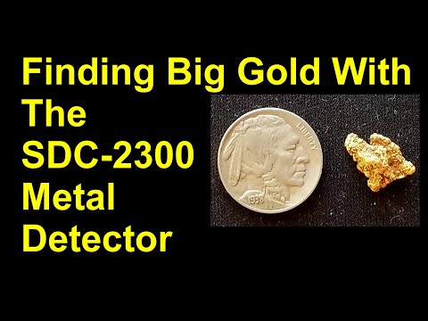 Finding big gold with the Minelab SDC 2300 detector
