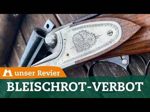 Lead shot ban: What you need to know | Check your shotgun now | Our hunting grounds | #52