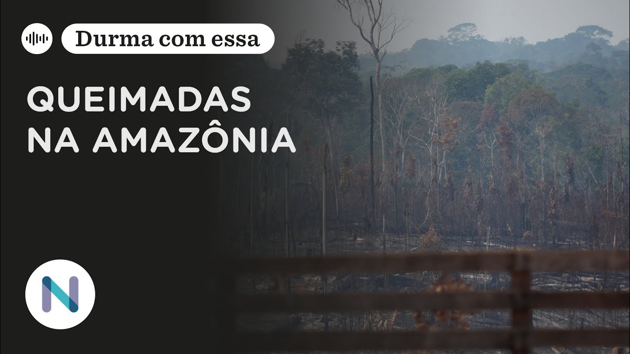 Por que queimadas são problema recorrente na Amazônia | Podcast de 29.Ago.24