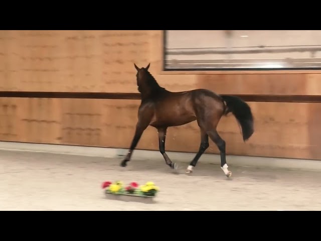 Gaits