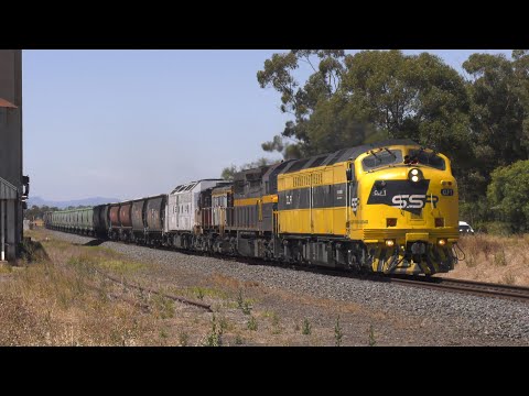AUSTRALIAN STREAMLINER EMD CLF1 hauls Grain Trains