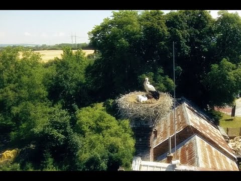 44 v klidu - 44 v klidu - Čáp (2015) official video