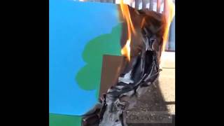 Boy Cooties - MyState Student Film Festival 2014